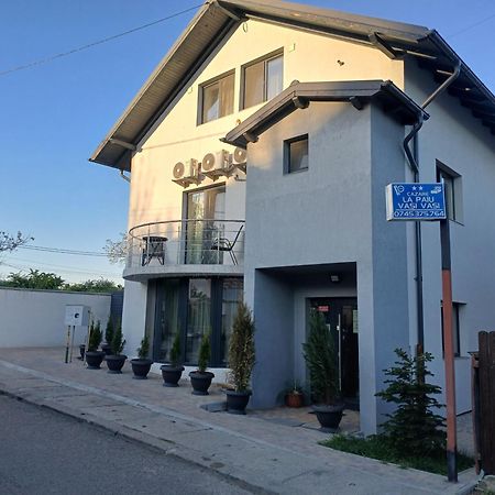 Cazare Paiu Vasivasi Vaslui Luaran gambar